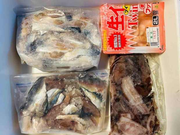 エサは魚の切り身・ホタルイカ・オキアミを準備した。 ©釣りビジョン
