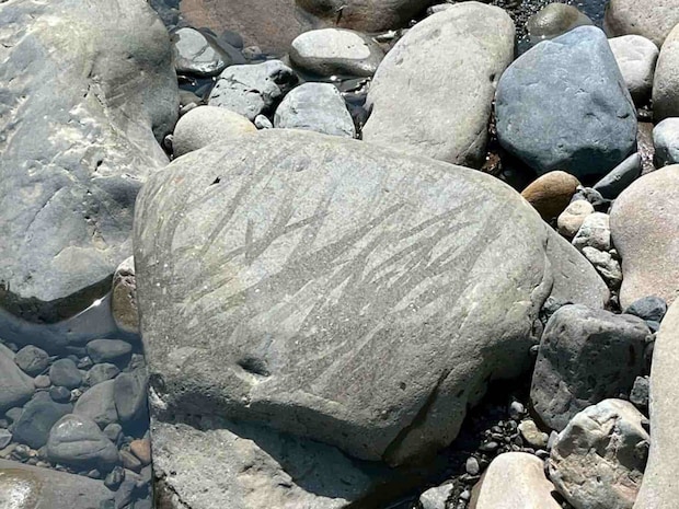 鮎は多く河原石には良型鮎のハミ跡も多々見られた。 &copy;釣りビジョン