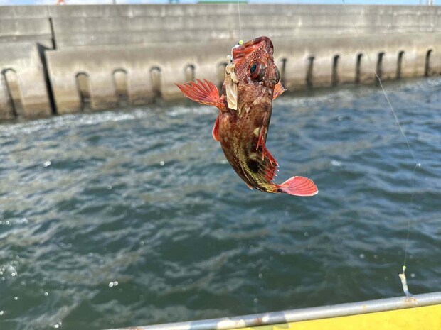 上針に喰う高活性。 ©釣りビジョン