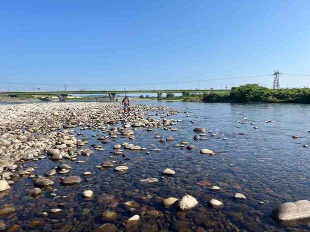 分流ヘチかなりの浅場にも追いの強い鮎達の姿が！ ©釣りビジョン