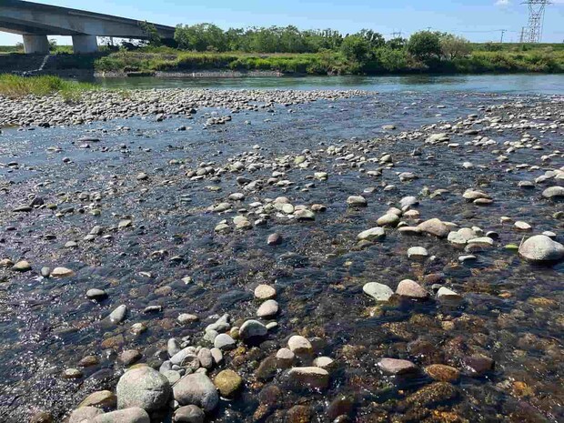こんな浅場も鮎だらけ！意外にもこういった浅場で良型鮎が釣れるぞ！ &copy;釣りビジョン