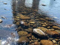 【鮎釣り】夏の終わりを〝神通川フィーバー〟で締めくくれ！