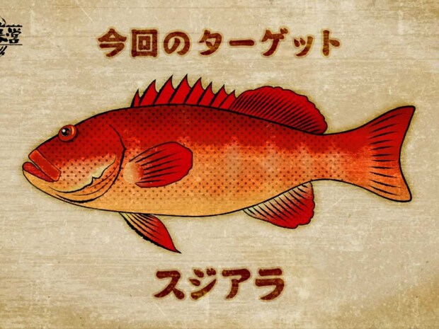 今回のメインターゲットは「スジアラ」。沖縄では〝アカジン〟と呼ばれ人気の高いターゲットだ。大きな尾っぽからも分かるように遊泳力のある魚で、速い流れの中に潜んでいることもある。非常にパワーがあり、引きも強い。&copy;釣りビジョン