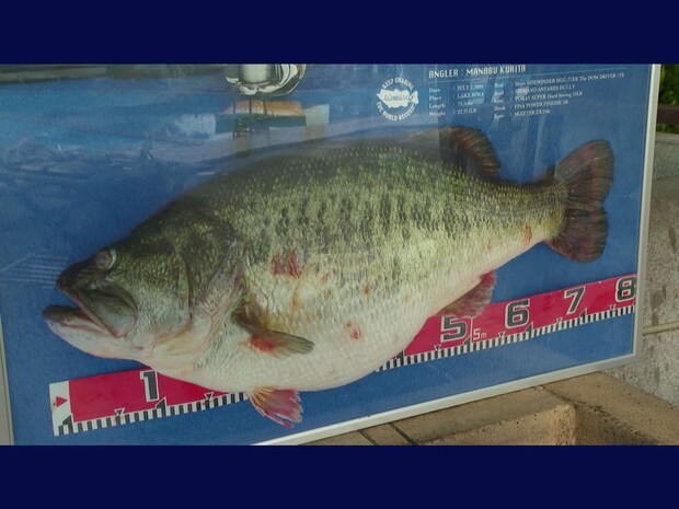 多くのトロフィーハンターが挑戦し、夢破れたブラックバスの世界記録。栗田氏は、77年ぶりに世界記録にならんだ。　©釣りビジョン