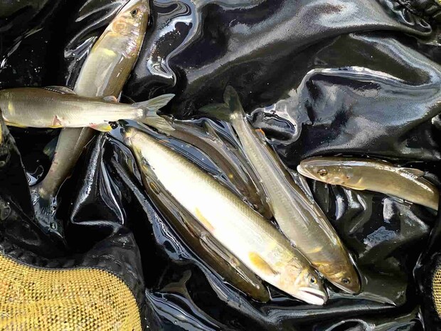 貧果を笑うなかれ、精一杯やったんだから。　©釣りビジョン