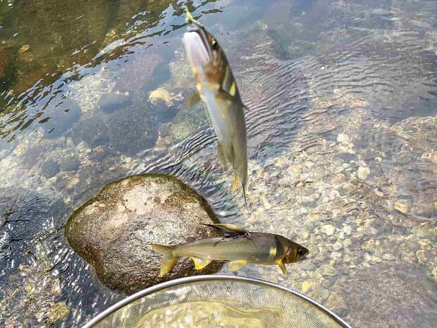 背掛かり。　&copy;釣りビジョン