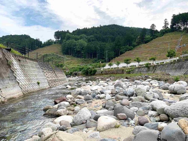 【九州の鮎】豊前の国は山国川、祓川でダム湖産鮎を狙う＜古稀の釣人が奮闘＞
