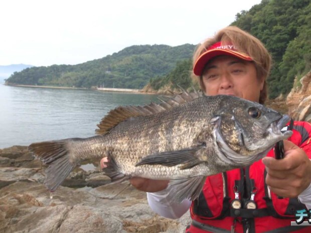 さっそく本命を釣り上げた平和さん。磯釣り師としての経験値の高さが伺える。美しいチヌだ。