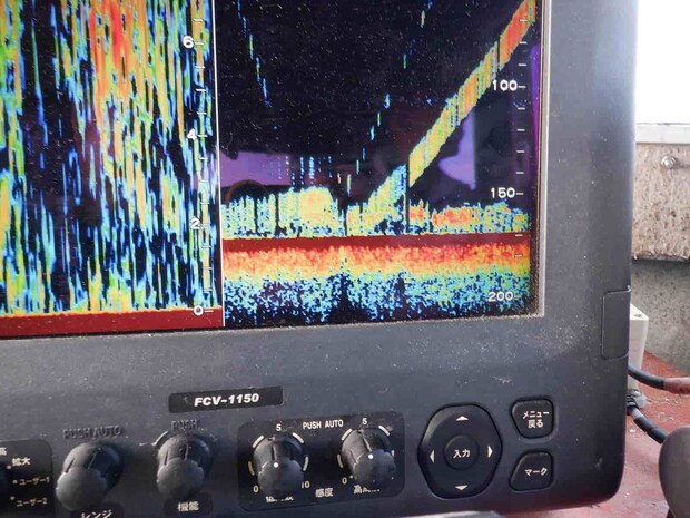 スルメイカの反応が底付近に！ &copy;釣りビジョン