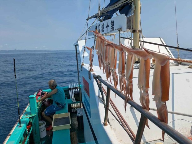 スルメイカが大きいので船上干しは壮観（8/23の釣果）！ &copy;釣りビジョン