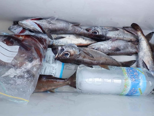 お土産十分な釣果になった！ &copy;釣りビジョン