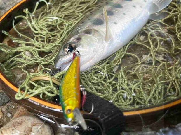 リアフックがカンヌキに掛かっている。シングルフックでも、この掛かり方ならバレにくい。