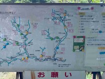 秋ヤマメを求めて神奈川県丹沢エリアへ！【営業担当・三浦のガチンコ釣行記】