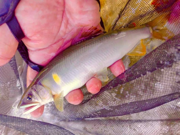 深場では良型揃い！ &copy;釣りビジョン