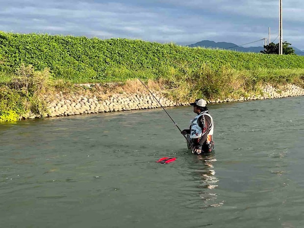 ヘチには追いの強い鮎が！しっかり際を攻めることが肝！ &copy;釣りビジョン
