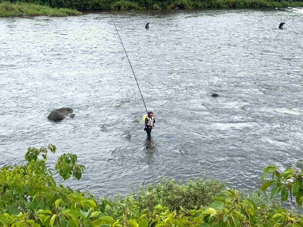 希望通りの右岸に！ヘチではチビ鮎だが秒殺！ ©釣りビジョン