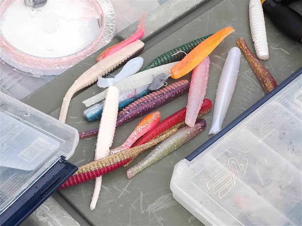 持ち運びも容易で多く持ち込めるのがワームの良い所。 ©釣りビジョン