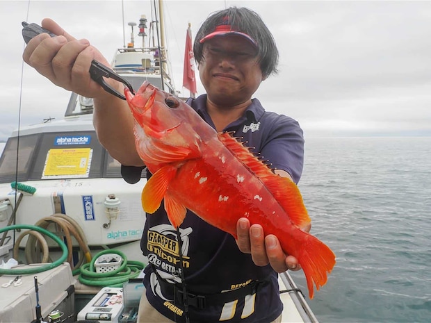 このサイズは引き味満点。 &copy;釣りビジョン