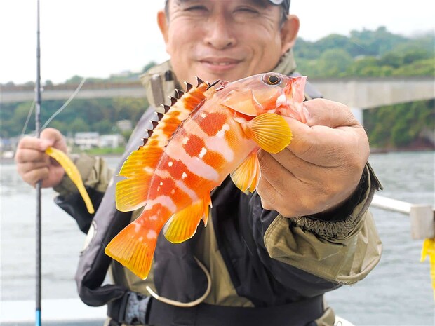 アタリは多く大型も期待が高い。 &copy;釣りビジョン