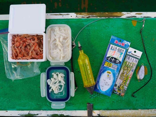 様々な仕掛けで楽しめる。付けエサにイカの短冊も効果的。 ©釣りビジョン