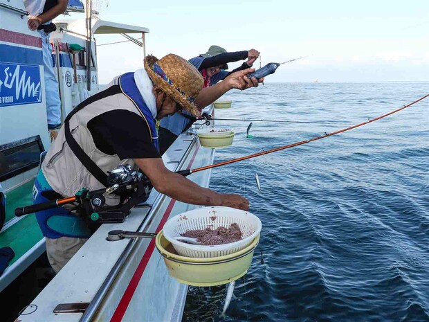 イワシは「ウルメ」いいサイズ。入れ掛かりモード。 &copy;釣りビジョン