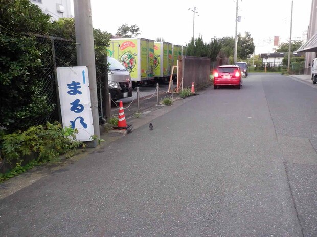 船着場へと通じる路地の入り口に設置された『まる八』の看板。 ©釣りビジョン