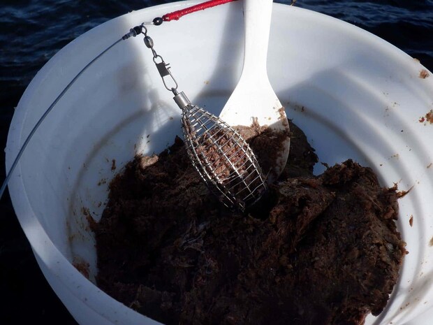 コマセのイワシのミンチはビシに6割程度入れればOK。 ©釣りビジョン