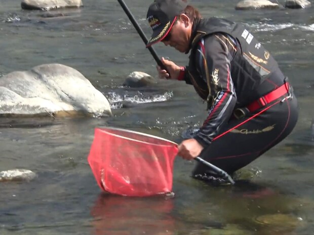 この浅場で25cmオーバーの大アユ。浅場は根掛かりするなど大アユ釣りでは敬遠されることも多いが、浅瀬で目印を吹き飛ばし、縦横無尽に走りまくる引きは味わってみたい！©釣りビジョン