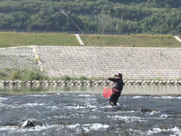徳島県の〝暴れ川〟吉野川で大アユ30連発を狙う!?
