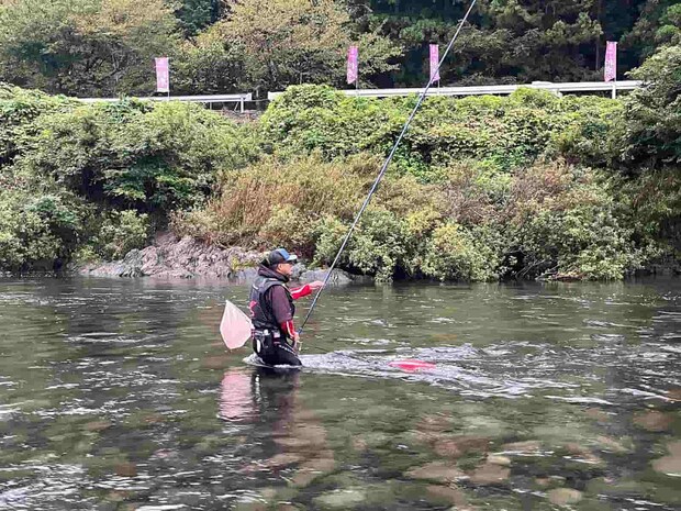 下流の大石の入ったポイントでもデカ鮎の連チャンが始まった！今日イチの鮎はこのポイントから！ &copy;釣りビジョン