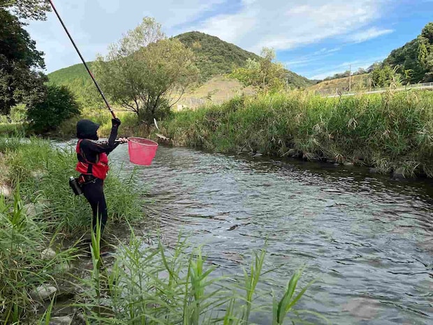 狙うは薄茶色の石！いきなりのデカ鮎入れ掛かり～！初根尾鮎GET！ &copy;釣りビジョン