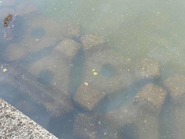 今回撃った穴、その1。波消ブロックの隙間。水深があり、流れが利きやすい場所に設置されているので、ハゼの魚影が濃い。 ©望月俊典