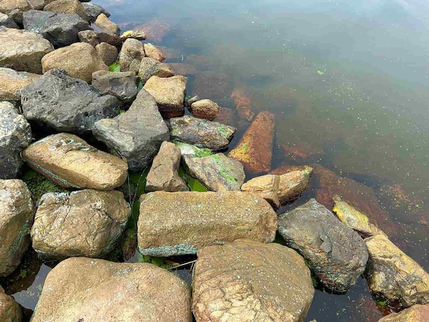 今回撃った穴、その2。岩の隙間。水深が浅めなので、　穴釣りをするなら満潮前後がおすすめ。潮が引いたら沖を攻めるとアタリがでる。 ©望月俊典