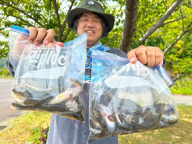 朝、3時間での釣果。この後、普通に仕事ができるくらいの短時間で楽しめる。ちなみに、10cm未満はリリースした。 &copy;望月俊典