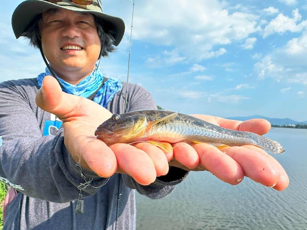 こんなふうに、いいサイズのハゼが連発した。 &copy;望月俊典