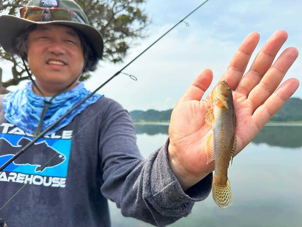 テトラの穴から釣れたハゼ。「釣った」感が高く、文句なしに面白い。 &copy;望月俊典