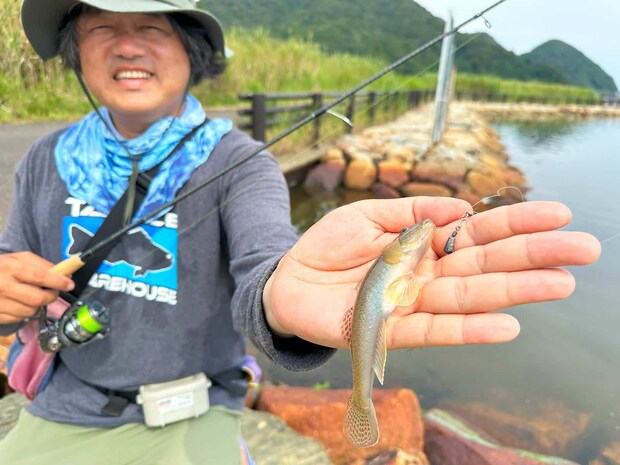 こっちは岩の隙間から釣れたハゼ。 &copy;望月俊典