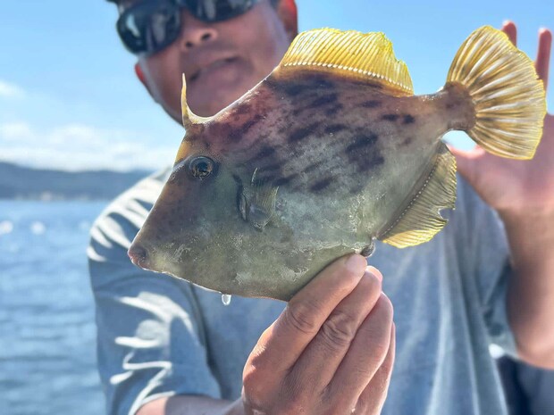 良型もいるのでマイ“タモ網”があると便利。 ©釣りビジョン