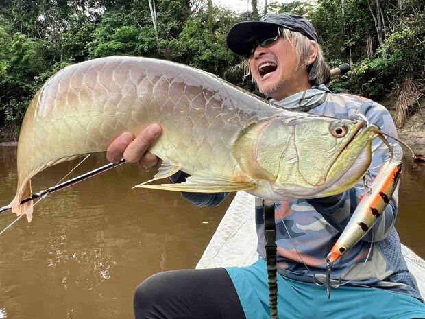 夕マヅメ、アラパイマの目撃情報のあった本流上流のポイントへ。大きなスピナーベイトで探ると、1mほどの小型であったがアラパイマが姿を現した！さあ、どう釣るのか？大型のミノーへチェンジすると現れたビックフィッシュ！それはアラパイマではないが、美しいアロアナであった。©釣りビジョン