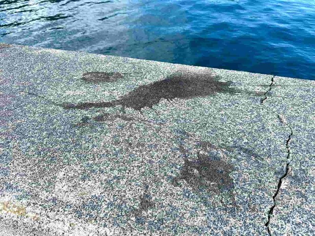 この堤防には新しい墨跡が多く、期待も高まる。 ©望月俊典