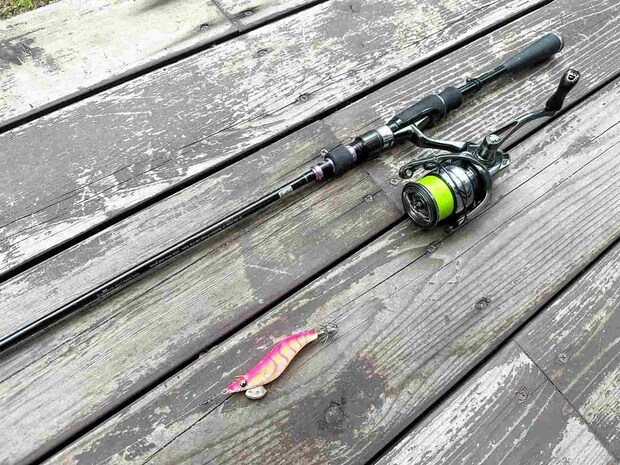エギングに使用したタックル。ロッドは7F.T.エターナルSDS-700STLLM-FTW（セディション）、リールはコンプレックスXR2500F6HG（シマノ）、ラインはアップグレードX8 0.6号（よつあみ）、リーダーはグランドマックス 2号（クレハ）。 ©望月俊典