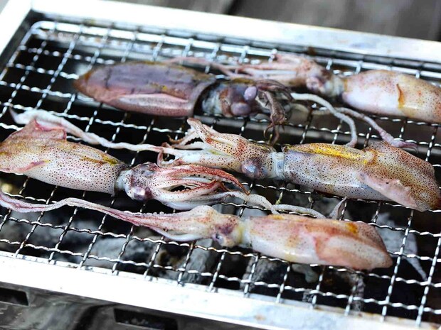 小さいアオリと小ヤリは丸ごと炭火焼きにした。じっくり焼くと、シコシコとした歯応えと内臓まで濃厚な味わいが楽しめる。アオリイカの方がやや甘味が強いが、どちらもめちゃ美味い。 &copy;望月俊典
