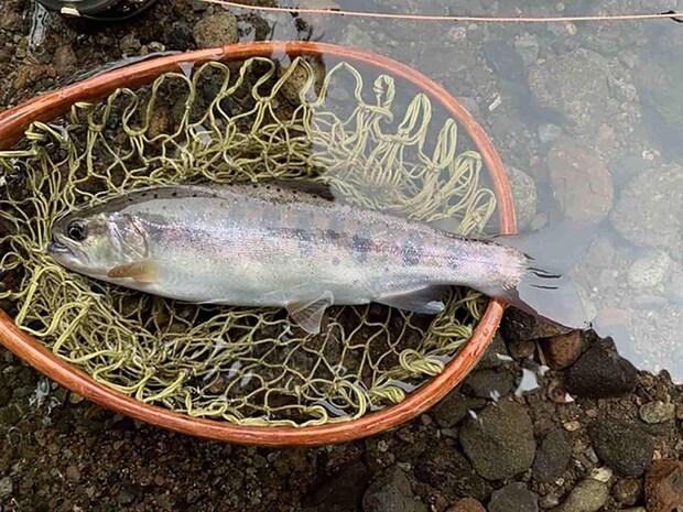 いや待てよ、5月に久住で掛けたアマゴも大きいぞ。 &copy;釣りビジョン