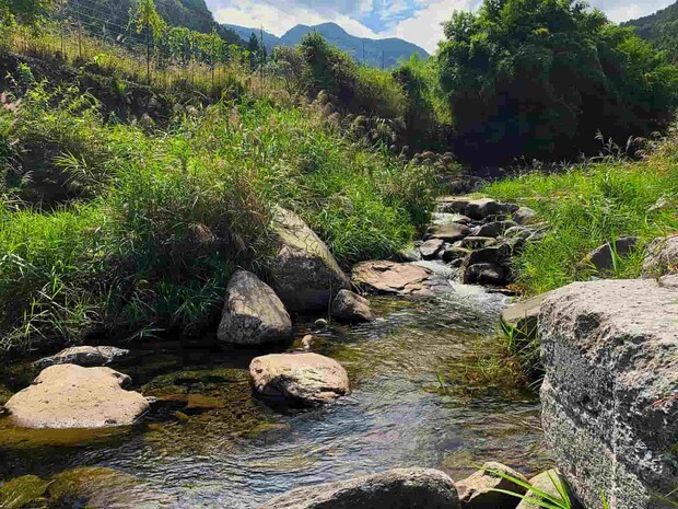 豊前の渓。 ©釣りビジョン