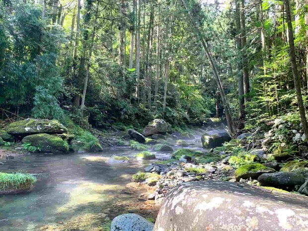 九月の終わり、禁漁の前日、老アングラーが福岡県の南と西の渓で掉尾の【エノハをフライで追う】