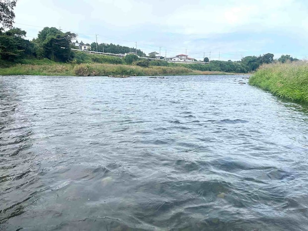 一本松ポイントは貸し切りだ！ ©釣りビジョン