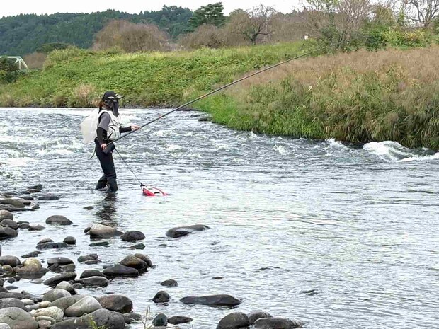 例会に参加していた鮎ガールは湯坂川合流下流の絞り込みで釣果を上げていた。 &copy;釣りビジョン