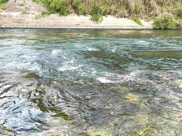 分流からの流れ込み、この先はかなり水深がある深場となっている。 ©釣りビジョン