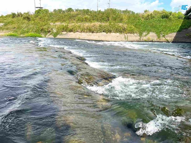 橋上の岩盤は所々青ノロは残るものの黒々～釣れそ～なのに反応ナッシング！ ©釣りビジョン