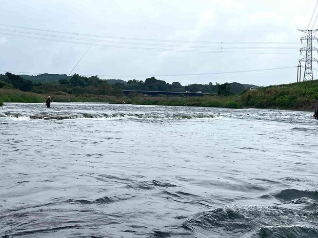 橋上の瀬ではポツポツと竿が曲がっていた。 &copy;釣りビジョン